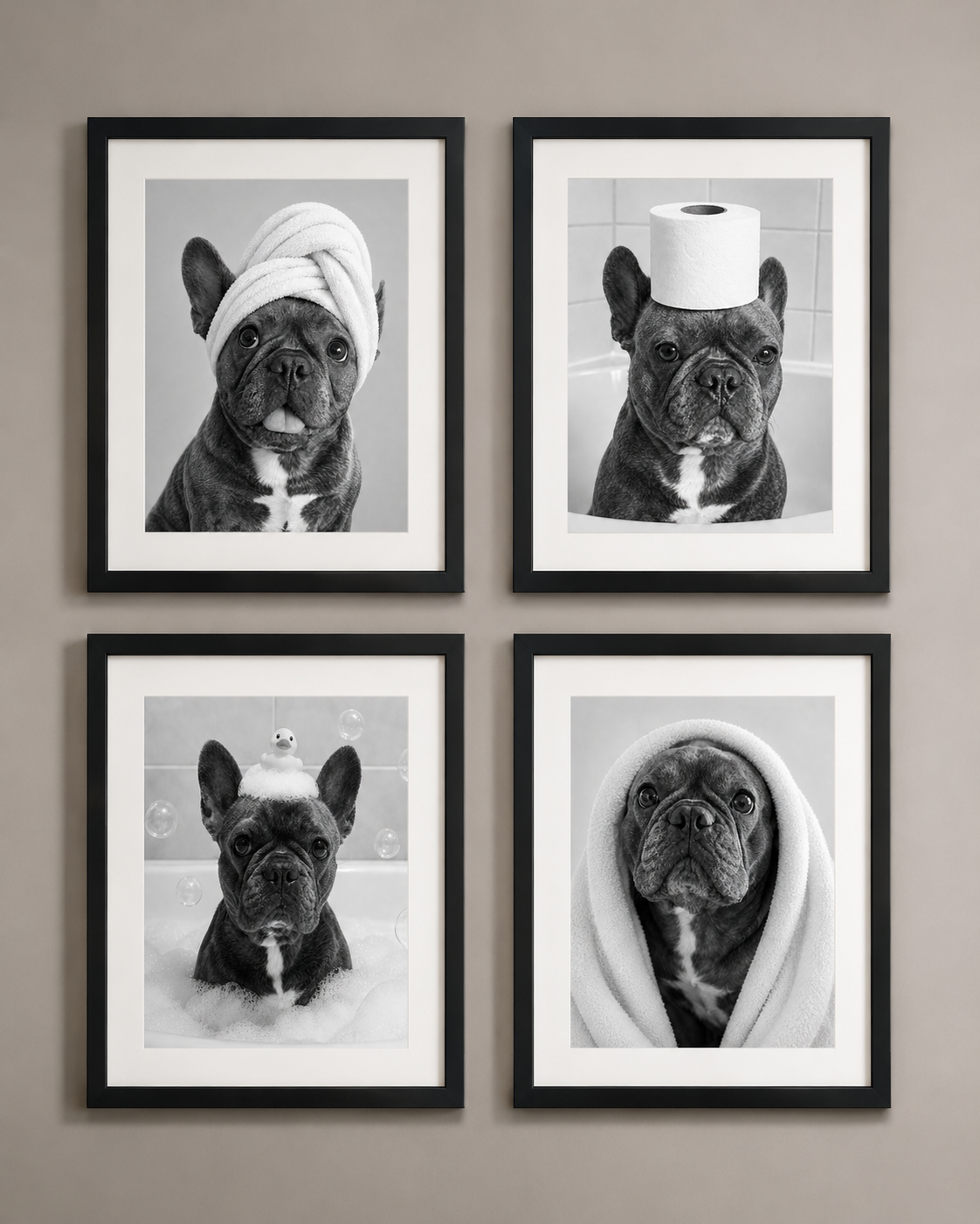 Accesorios