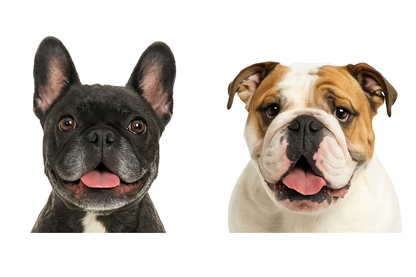 Cantidad de personajes