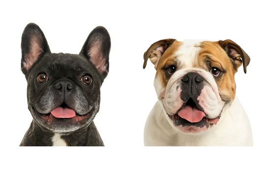 Cantidad de personajes