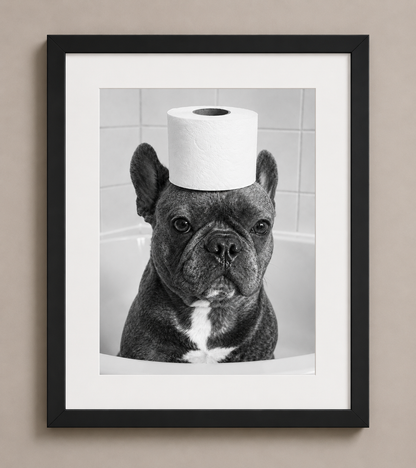 The Spa Collection Portraits