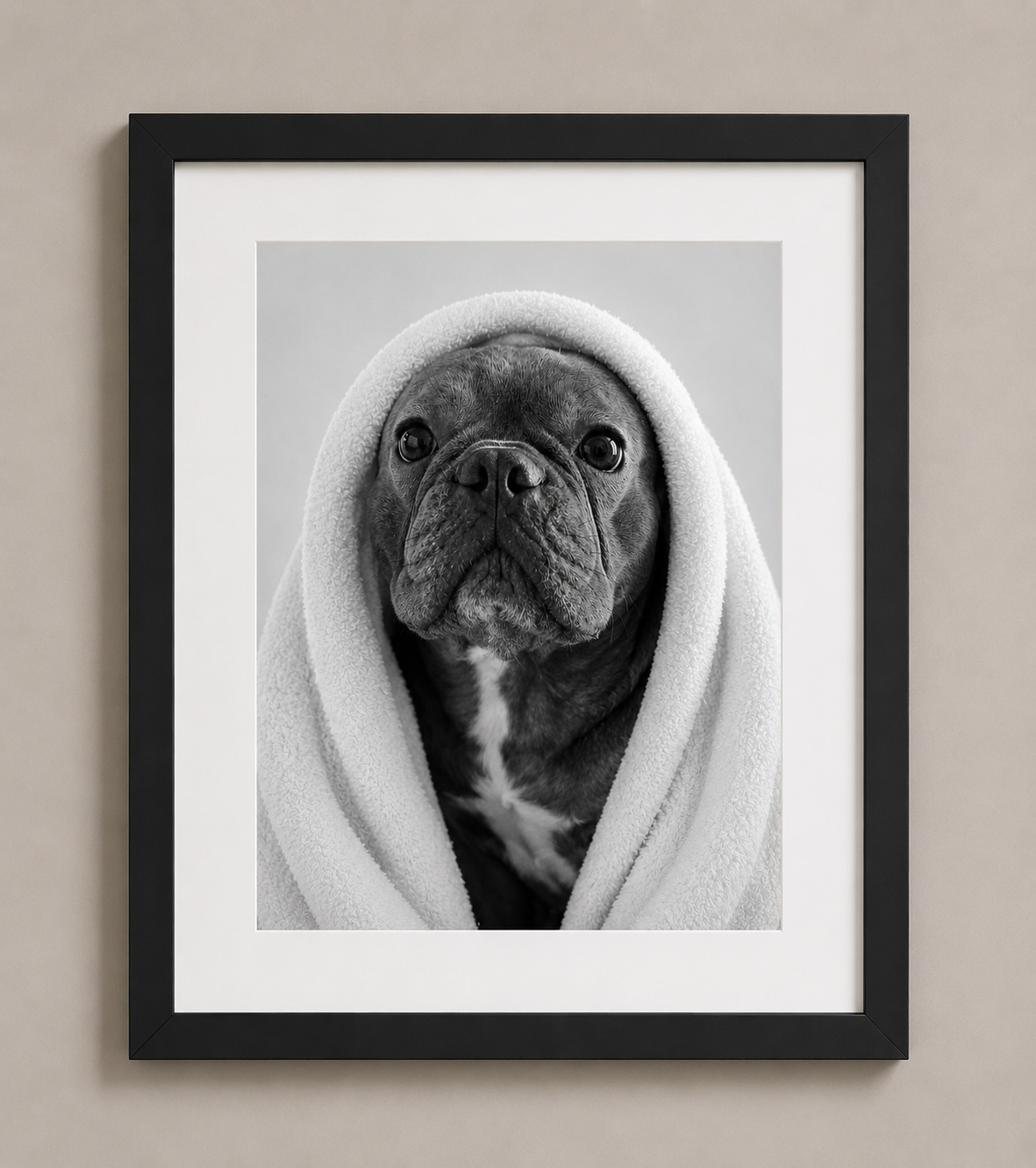 The Spa Collection Portraits