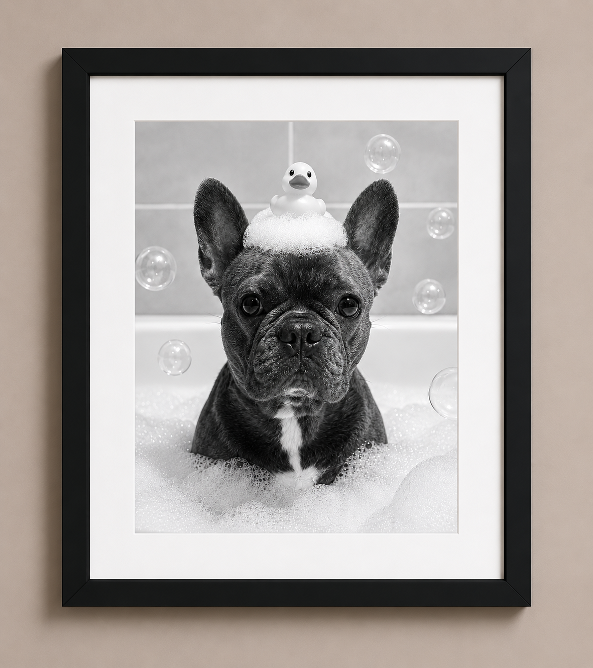 The Spa Collection Portraits